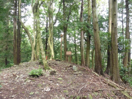 画像9